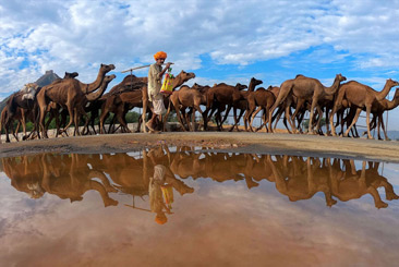 Jaipur To Fatehpur Sikri Tour