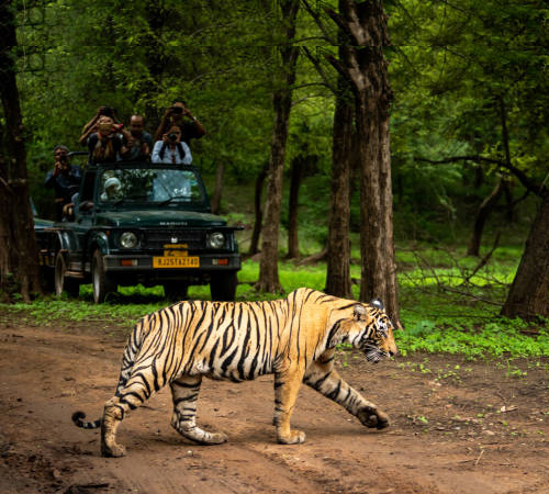 Best Places to visit in Ranthambore